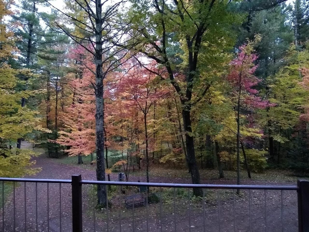 Bed And Breakfast Suite At The Wooded Retreat Pine City Luaran gambar